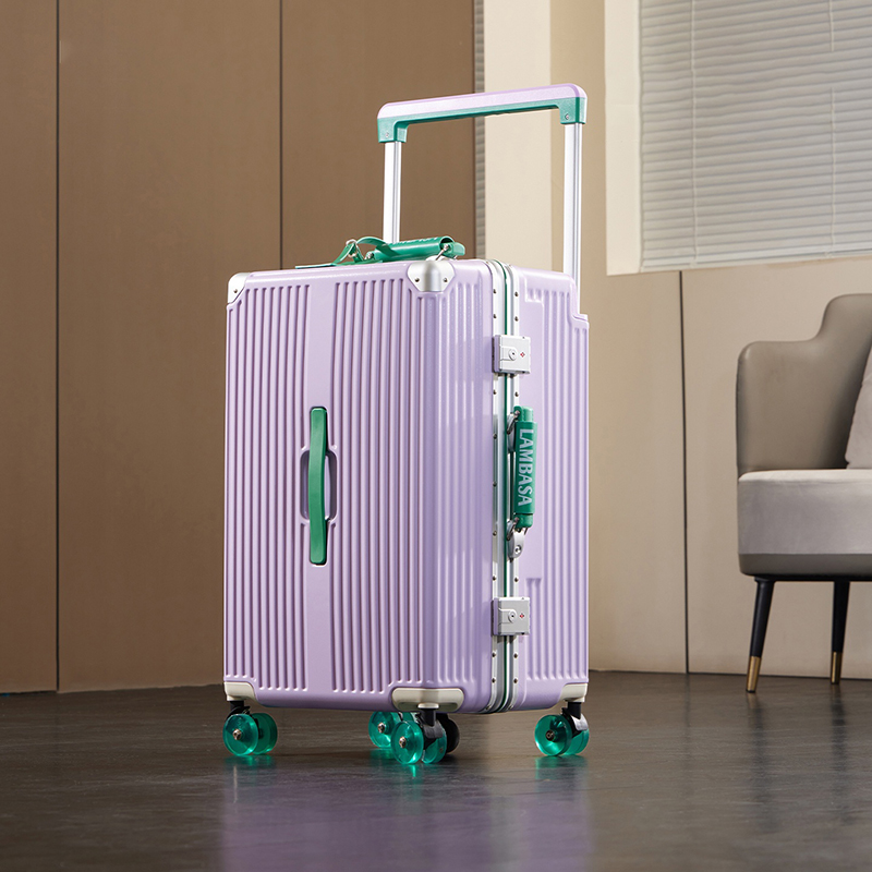 Wide Handle Rolling Suitcase A - огляд і ціна Spinner Wheel Rolling Suitcase 20 Inch